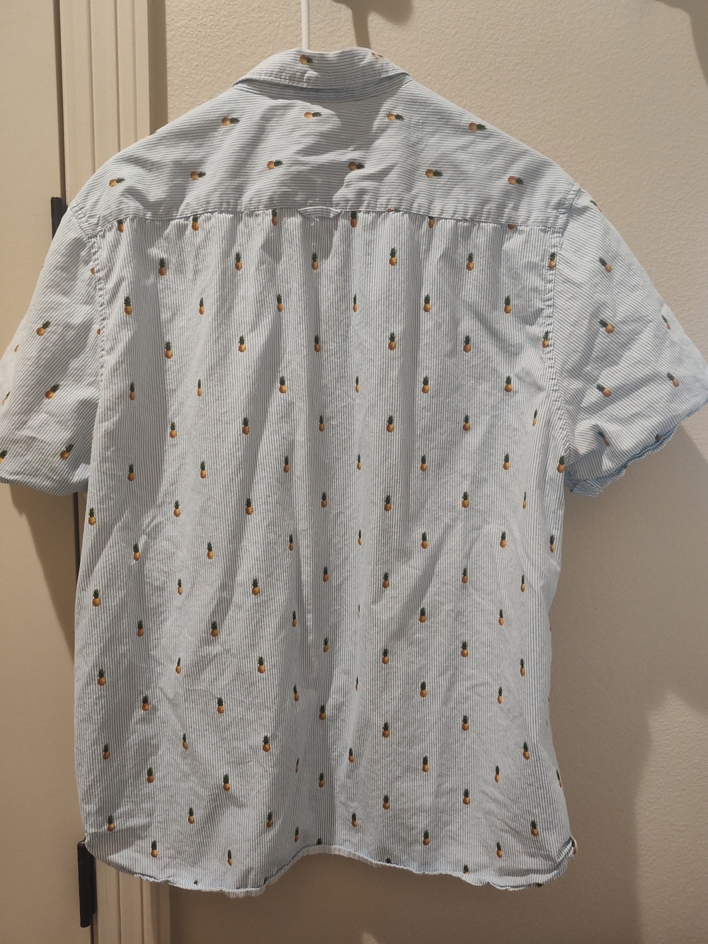 Denim & Flower Light Blue Striped Short-Sleeve Button-Down with Pineapple Print - Picture 2 of 4